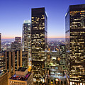 City of Lights