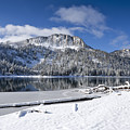Fresh Snow